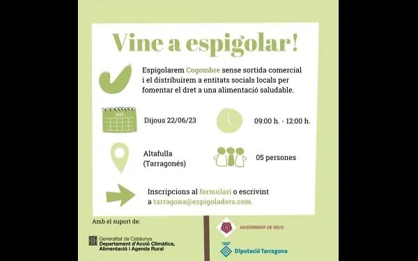Foto: Espigoladors
