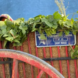 Entrada de l'aigua de Sant Magí amb els Portants 2023 - episode art