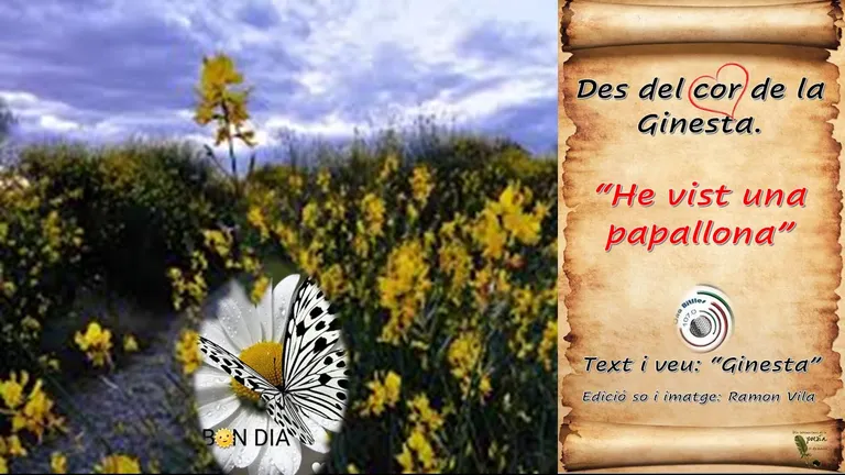 Des del cor de la “Ginesta”, ens arriben essències de primavera amb la poesia: Des del cor de la “Ginesta”, ens arriben essències de primavera amb la poesia: “He vist una papallona”