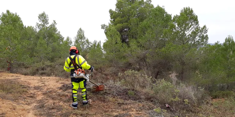 La Diputació i els Consells Comarcals posen en marxa plans d’ocupació per donar feina a 50 persones