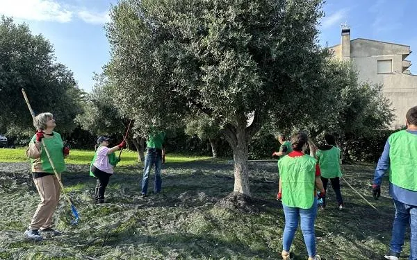 Foto: Ajuntament de Torredembarra
