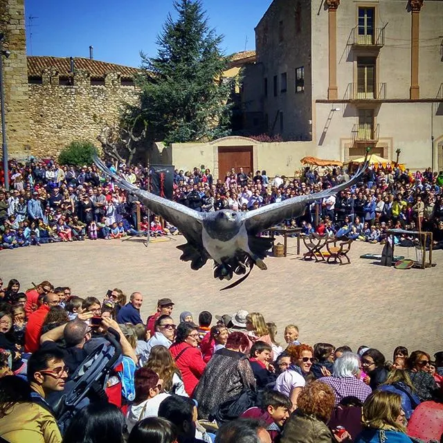 Les alumnes alemanyes han estat rebudes a l'Ajuntament per l'alcaldessa