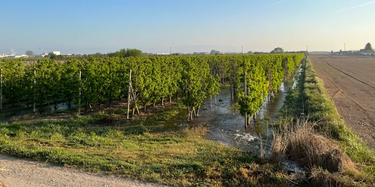 El canal d'Urgell tanca al regadiu amb la incertesa de si es podrà reprendre la campanya abans del setembre