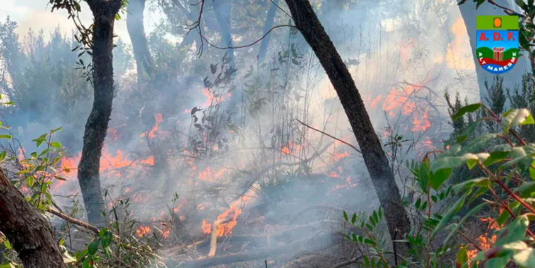 L'estiu de 2022 ha esta el més alt en risc d'incendis forestals, el més elevat dels darrers deu anys