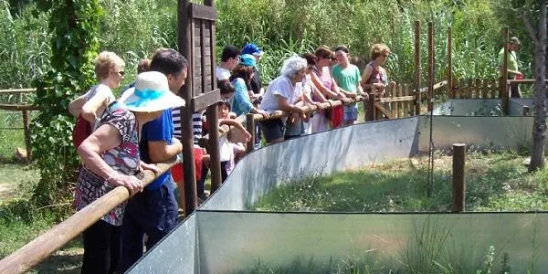 El centre de divulgació de la tortuga de l’Hort de la Sínia, un espai on conèixer els seus hàbits i els problemes que l’amenacen