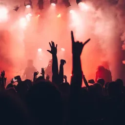 FESTIVAL ROCK EL PEDRÓ - episode art
