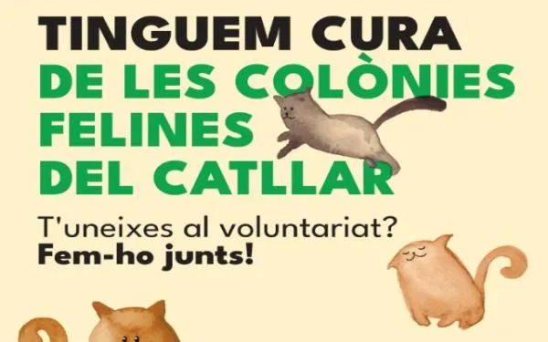 Foto: Ajuntament del Catllar