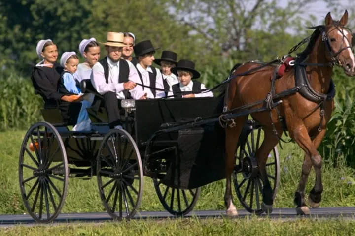 El Banc del Temps ens acosta als costums dels amish