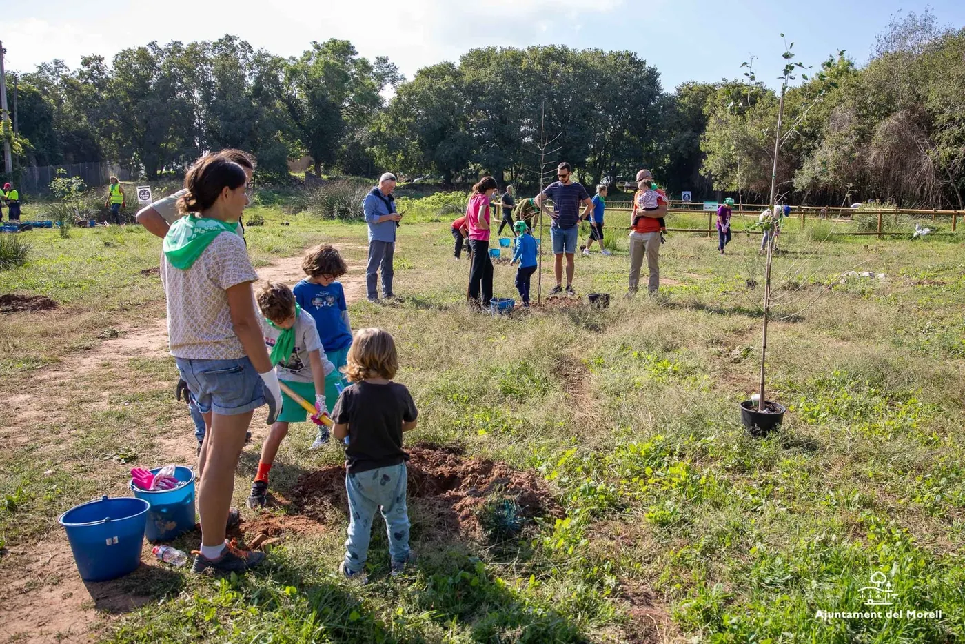 El temps respectarà la tercera plantada del Morell