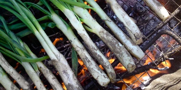El XIP ja prepara 6000 calçots per la Calçotada Popular