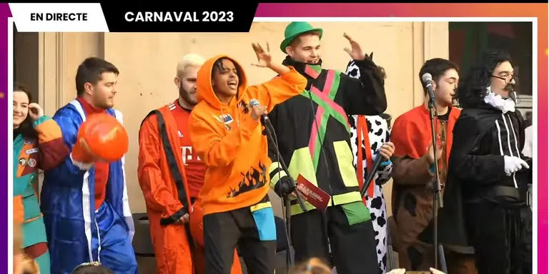L'Associació de Festes del Carnaval condemna insults i amenaces rebuts a través de comentaris del vídeo dels actes de diumenge al matí
