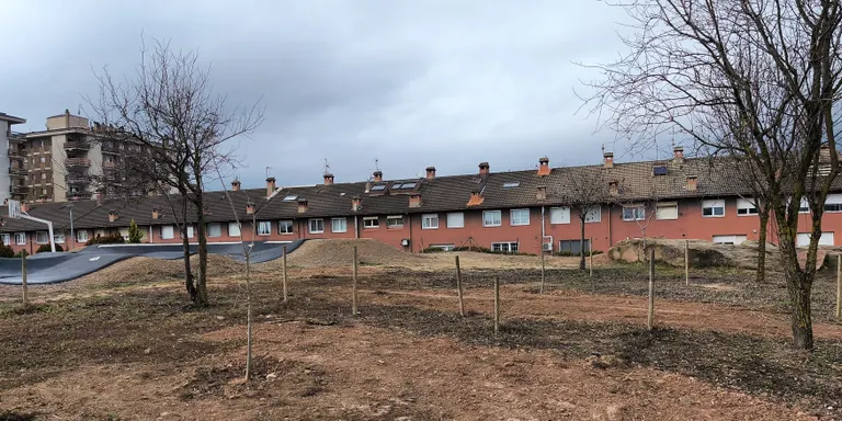 La brigada municipal incrementa i substitueix arbrat urbà amb una seixantena d'exemplars