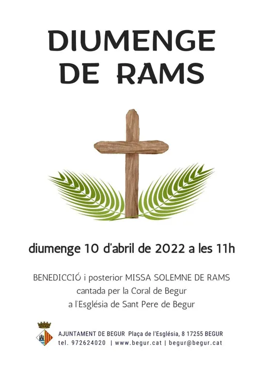 Diumenge de Rams