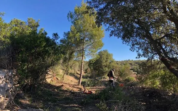 Foto: Ajuntament del Catllar