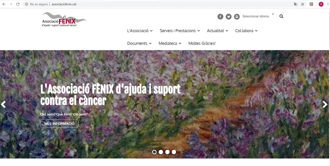 Fènix renova la seva imatge a internet