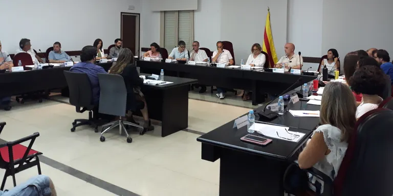 Resum del ple de dijous 21 de juny