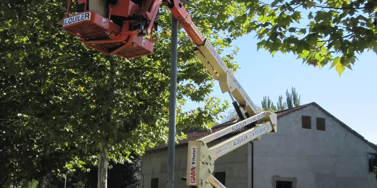 La Seu renova l'enllumenat per estalviar 20.000 euros anuals