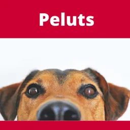 Peluts del 30/5/2020 - episode art