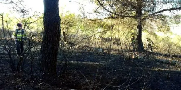 Els Bombers de la Generalitat estabilitzen l'incendi de Torredembarra que s'ha produït en tres focus diferents