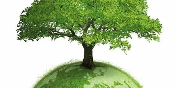 El dia mundial del medi ambient us donem pautes per combatre el canvi climàtic