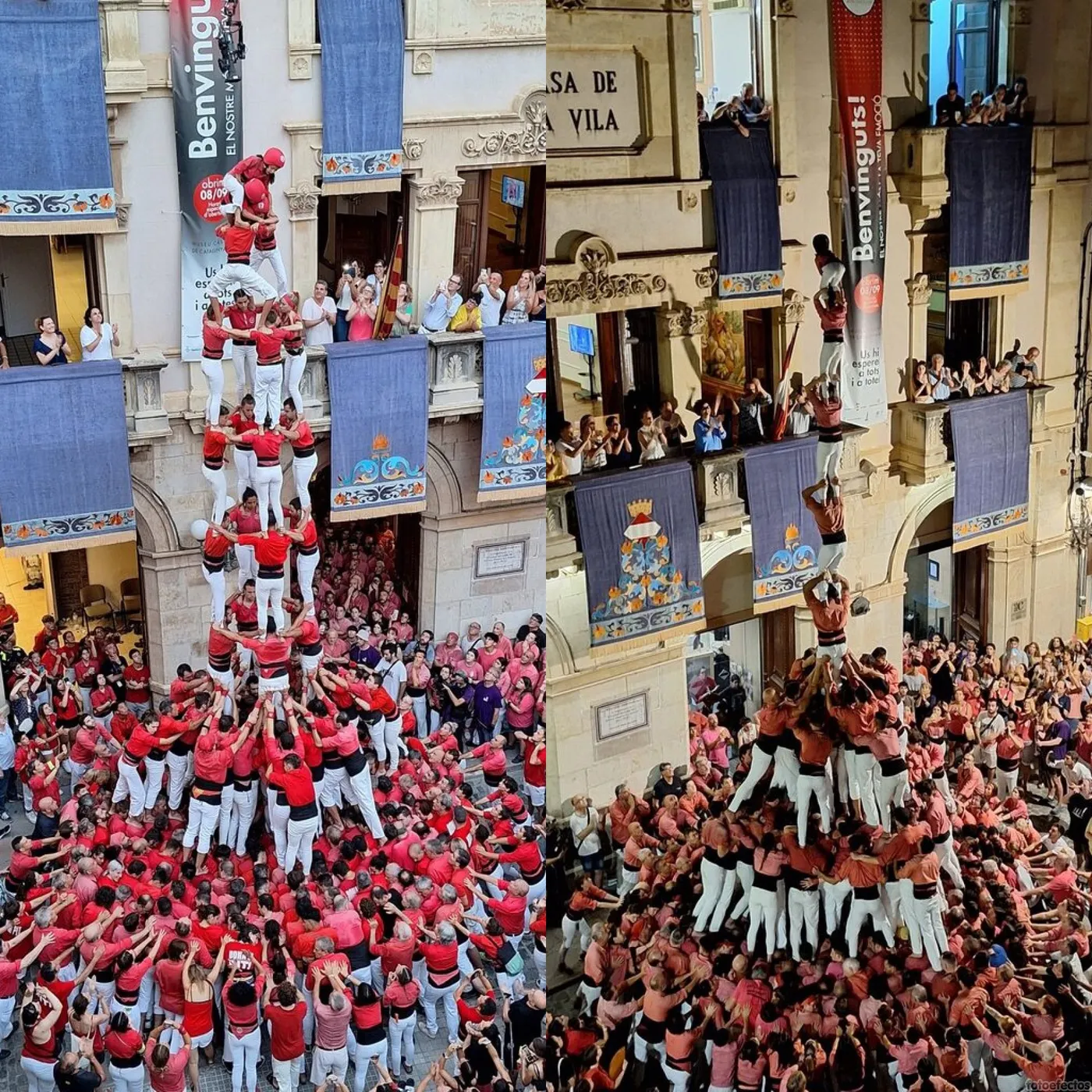 Vella i Joves compleixen les expectatives per Firagost