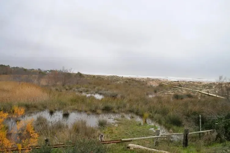 La Torre Camina planteja sortides de proximitat
