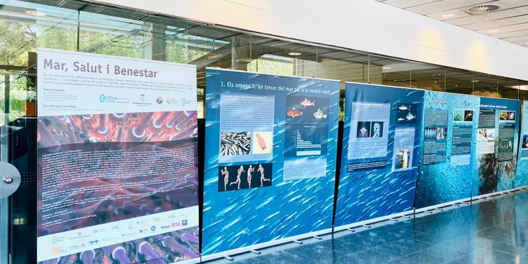 L’exposició “Mar, salut, benestar” es presenta a la Biblioteca Ernest Lluch