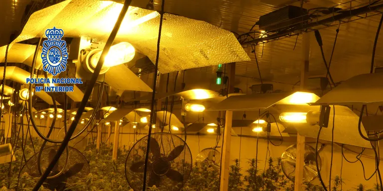 La Policia Nacional deté tres persones i desmantella una plantació de marihuana en una nau a Taradell