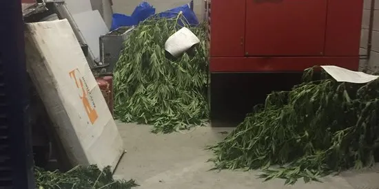Queixes per la forta olor de marihuana a la comissaria dels mossos d'esquadra de Tremp