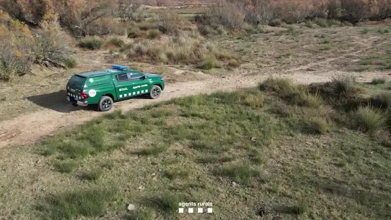 Els Agents Rurals mobilitzen 150 efectius per reforçar la vigilància durant l’eclipsi solar de dimecres