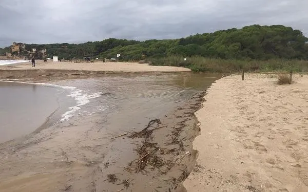 Foto: Associació Mediambiental la Sínia