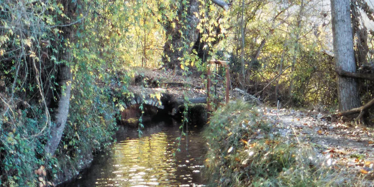 Segon centenari del rec de l’Olla i Segalers i rec d’Arfa