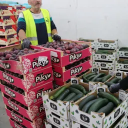 El Gran Recapte del Banc dels Aliments - episode art