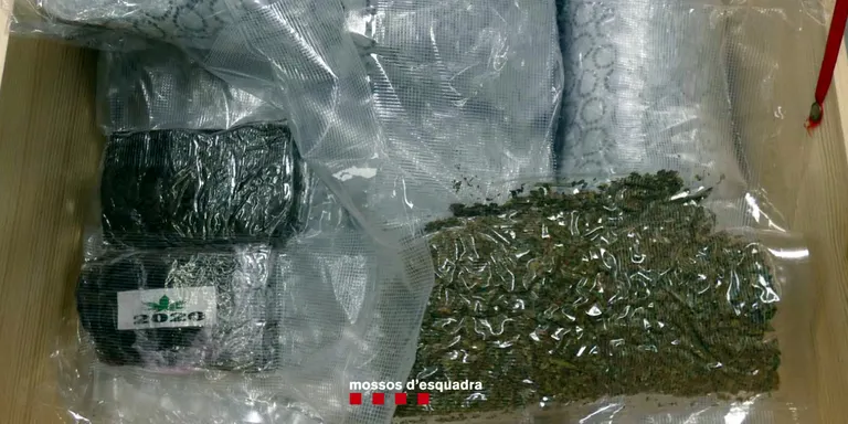 Detenen dos joves que havien llogat un apartament a Blanes des d'on traficaven amb marihuana i haixix