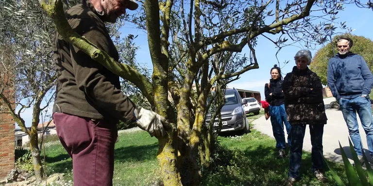 El taller de poda de restauració d'arbres fruiters antics de l'Actua de l'Arada arriba a la 15a edició