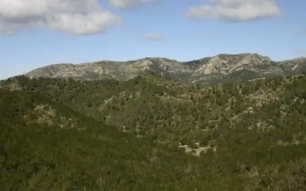 Foto: Club Excursionisme Torredembarra
