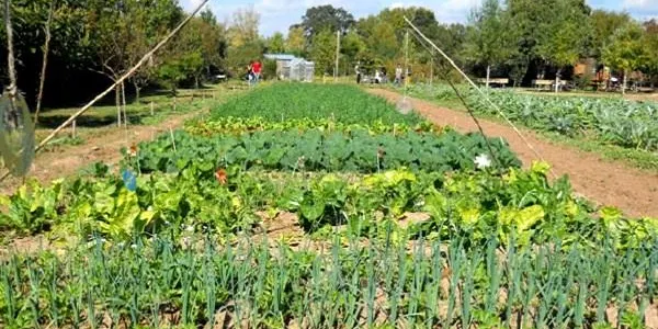 L’Ajuntament d’Altafulla i l’Hort de La Sínia posen en marxa una nova edició del curs d’horticultura ecològica primavera-estiu