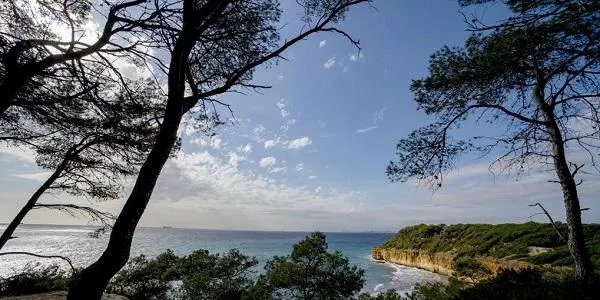Es constitueix la Fundació Bosc de la Marquesa