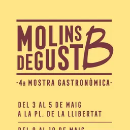 Molins de Rei al Dia del 29/4/2019 - episode art