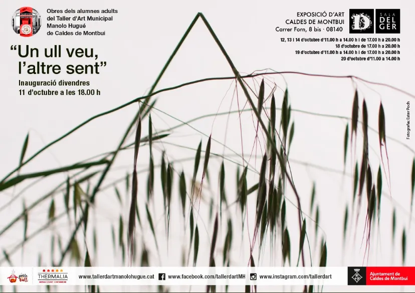 El Taller d'Art inaugurarà demà divendres l'exposició Un ull veu, l'altre sent