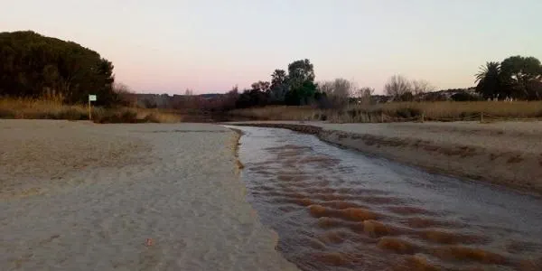 L’entrada a mar del riu Gaià, protagonista de la nova visita guiada de l’Hort de la Sínia