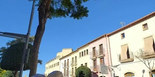 Protecció Civil de la Generalitat activa l'Alerta del pla VENTCAT per la previsió de fort vent aquest dilluns
