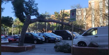 Afectacions del temporal de vent a Cornellà