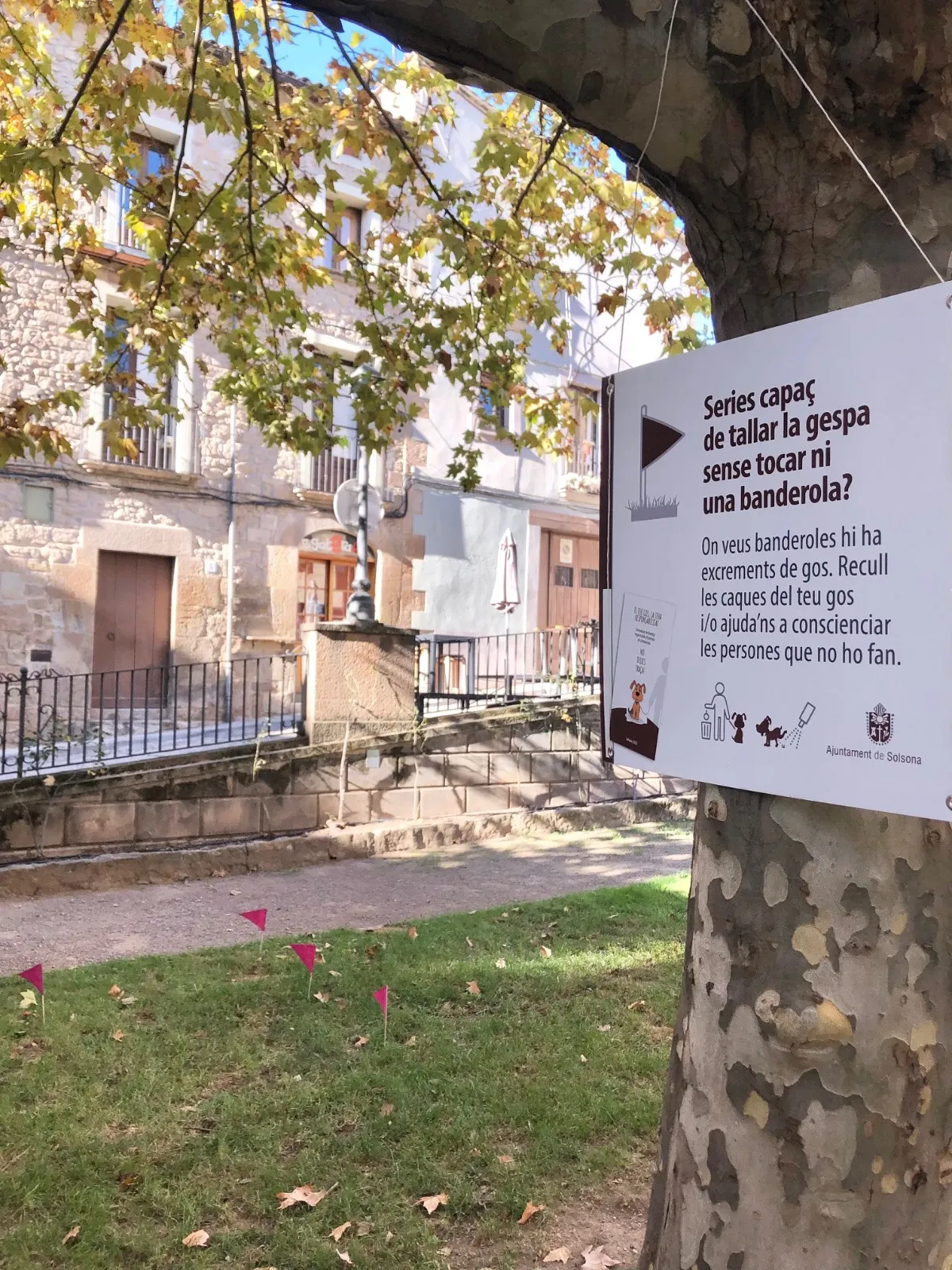 Solsona reforça la campanya de conscienciació sobre els excrements de gos senyalant-los amb banderoles