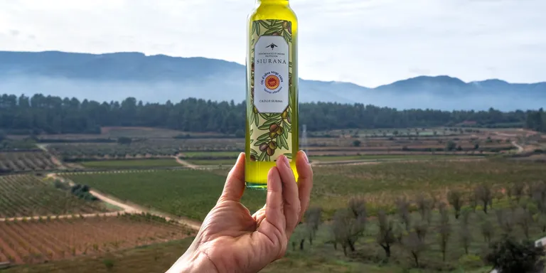 La DOP Siurana preveu que el preu de l'oli pot pujar encara una mica més per l'escassa producció d'olives