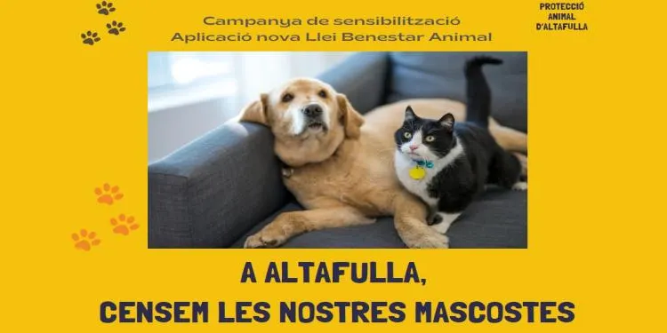 L'Ajuntament d'Altafulla impulsa una campanya per censar els animals domèstics