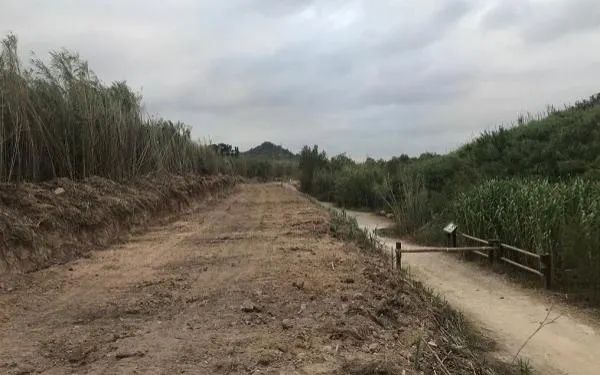 Foto: Associació Mediambiental La Sínia