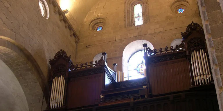 La Seu acollirà un concert de la 16a edició del Festival d'Orgues de Ponent i el Pirineu