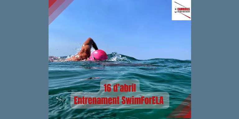 Nedadors del Cambrils Club Natació faran un entrenament per preparar la travessa solidària Swim For ELA