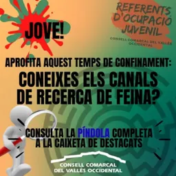 #61 - Coneixes tips i consells adreçats al jovent per trobar feina? - episode art